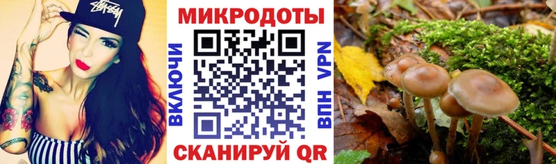 Галлюциногенные грибы Cubensis  Купить где  Кяхта 